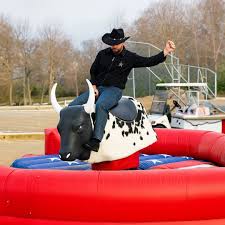 Mechanical Bull Ride in Sawai Madhopur